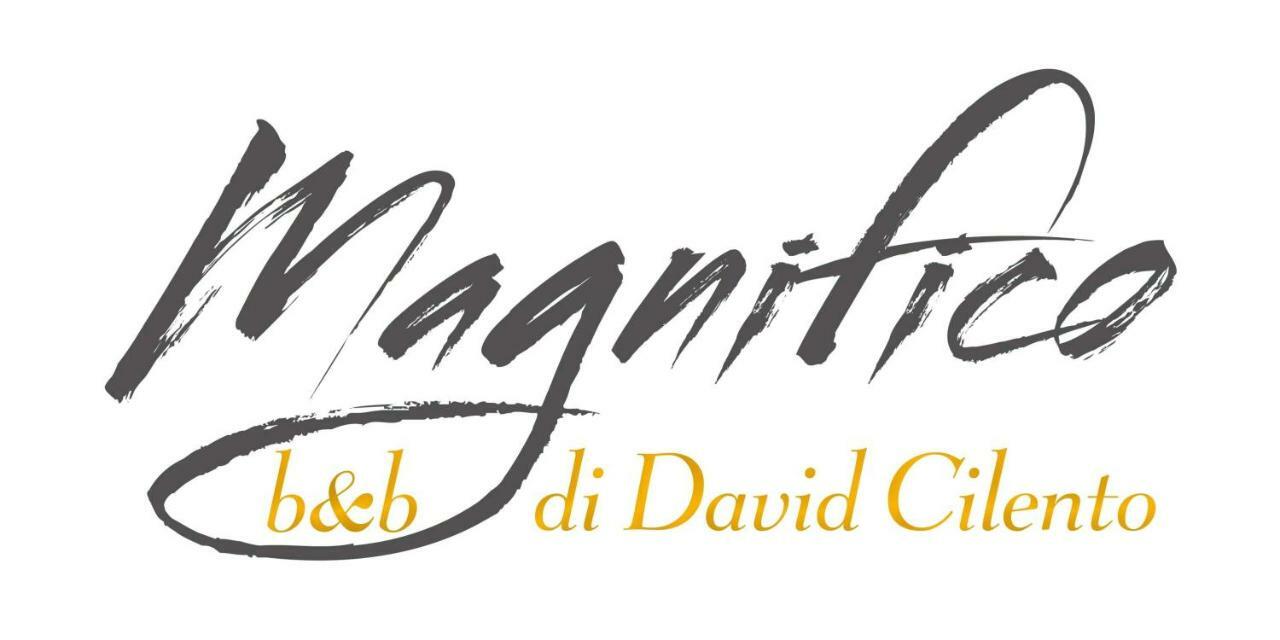 Magnifico Couette-café